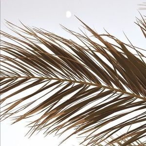 Meet your Posher, Jeanine